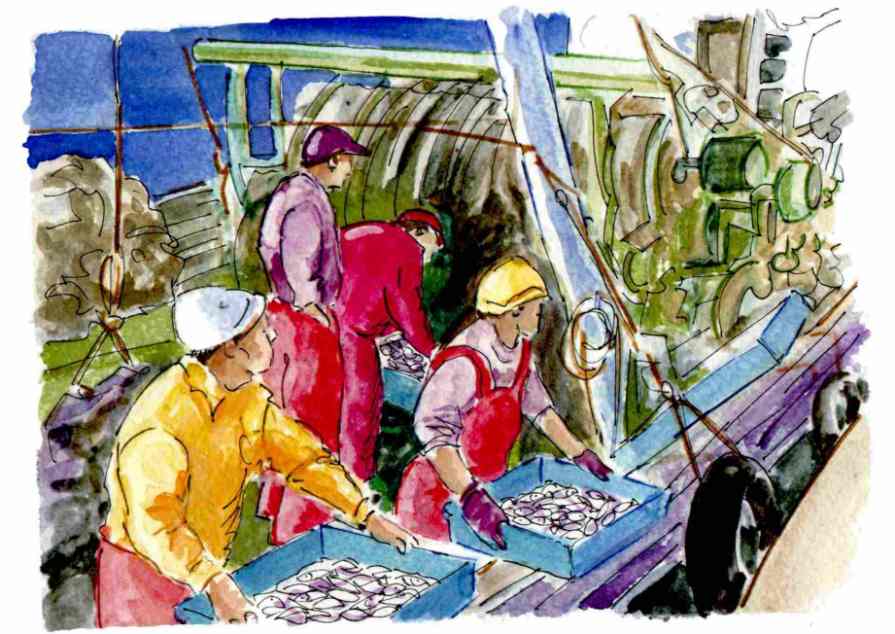 maltea1.jpg (66719 bytes)