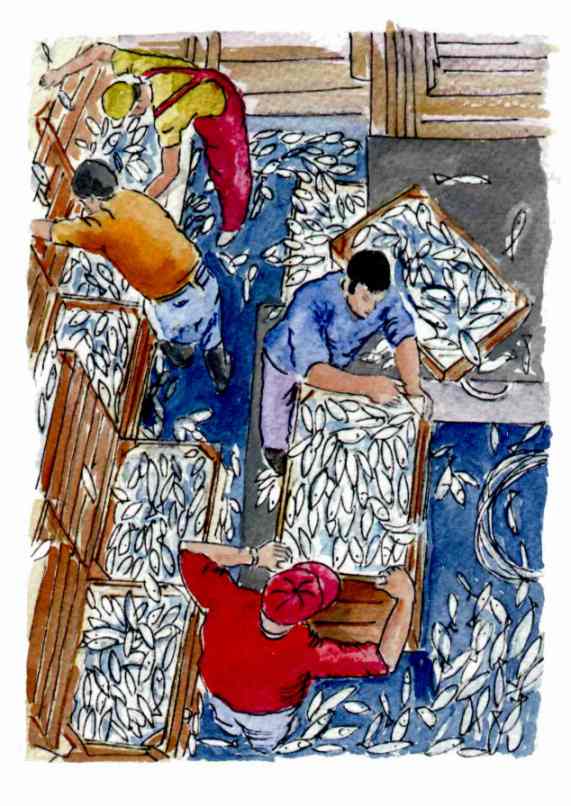 maltea2.jpg (61952 bytes)