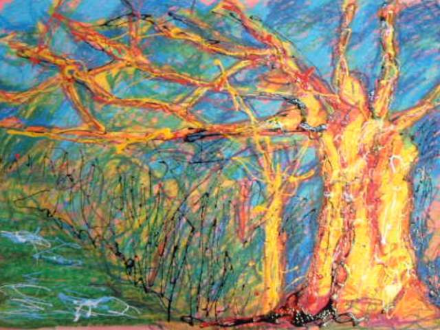 Calatorao1.jpg (52497 bytes)