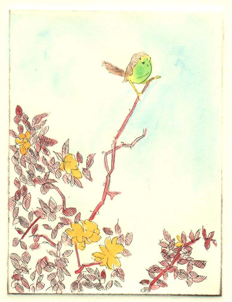 pi.jpg (74866 bytes)