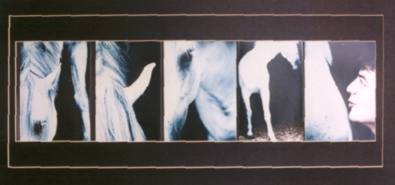 Zeus peque�o.jpg (10896 bytes)