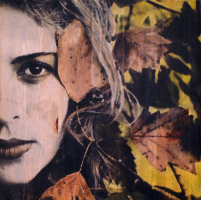 bosque2.jpg (56481 bytes)