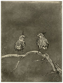 Gpajaritos.jpg (31993 bytes)