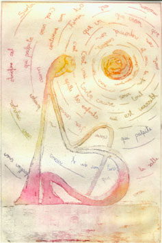 Gsalsol.jpg (30451 bytes)