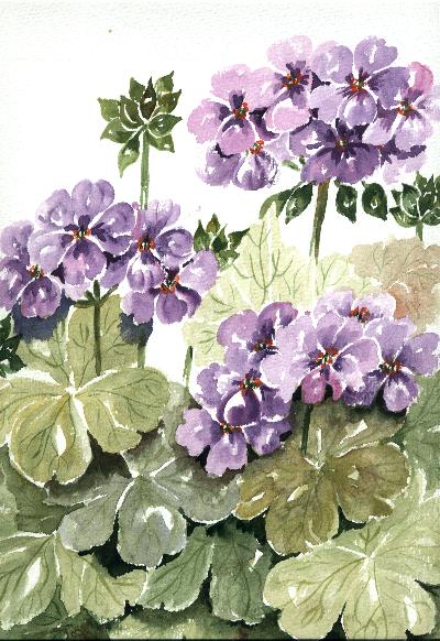 mc10.jpg (64825 bytes)