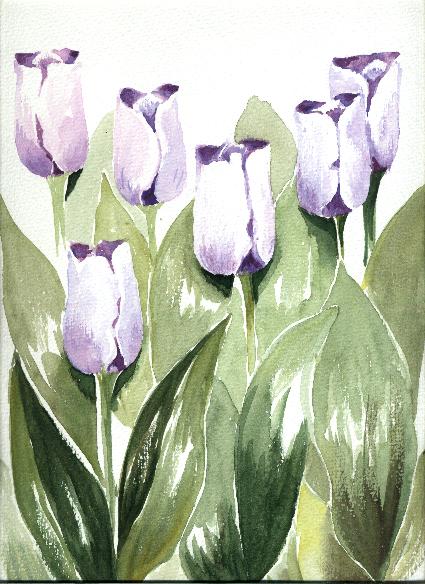 mc13.jpg (58306 bytes)