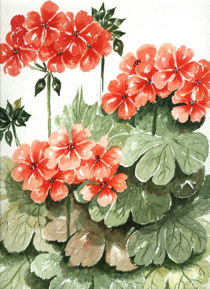 mc14.jpg (70425 bytes)