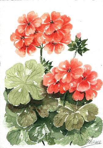 mc7.jpg (41551 bytes)