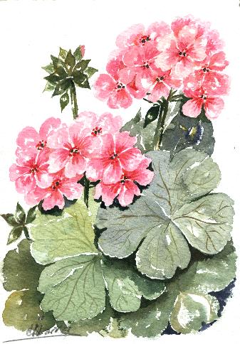 mc8.jpg (44439 bytes)