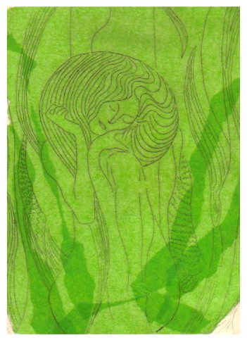 ninfa2.jpg (38546 bytes)