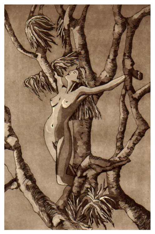 VientoySol.jpg (47901 bytes)